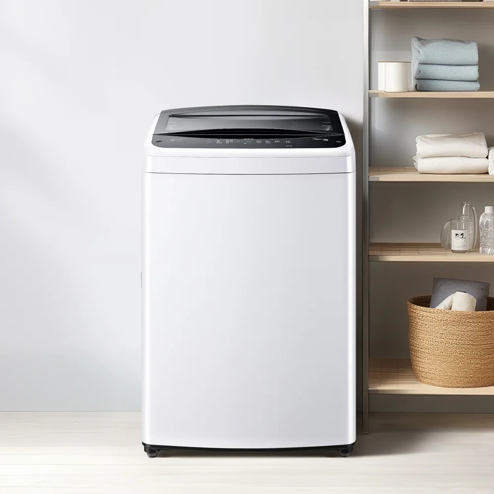 LG 트롬 오브제컬렉션 세탁기 25kg FX25KSAZ 블랙 터보샷